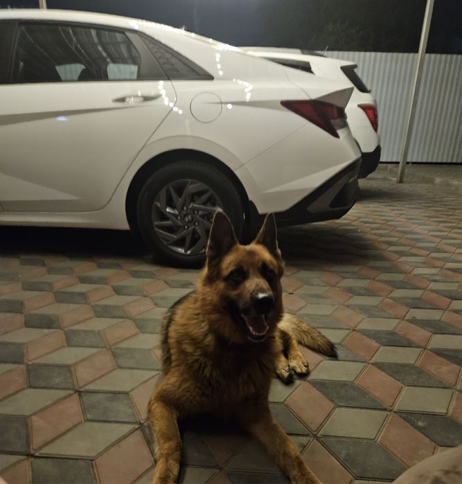 Кабель ищет подругу