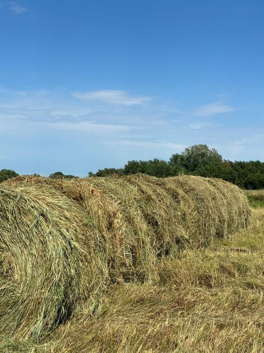 Продам Сатылады Урлон