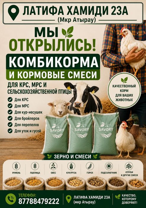 Кебек Арпа Бидаи