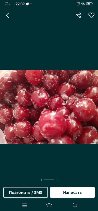 Замороженная вишня