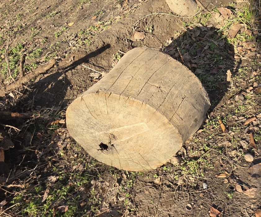 Meva Мевали дарахт Дрова дров утин otin utin Чирчик да