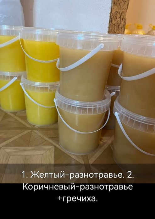 Продам мёд Катон карағай.