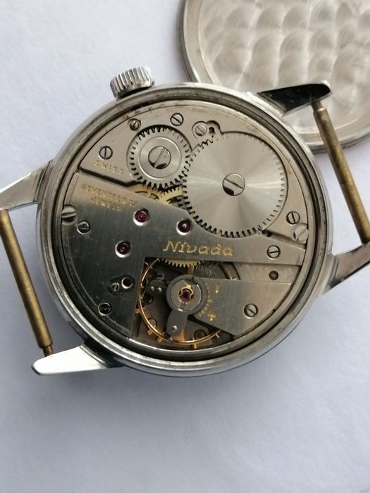 Nivada model diplomat