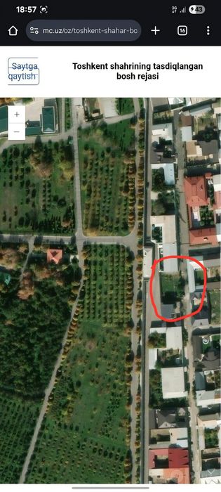 Dormon Archa kocha