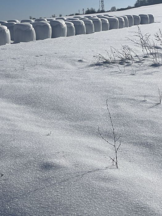 Vand bolalot de lucerna