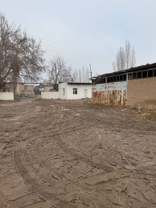 Срочно Мини ферма на Янгийул Молбозор