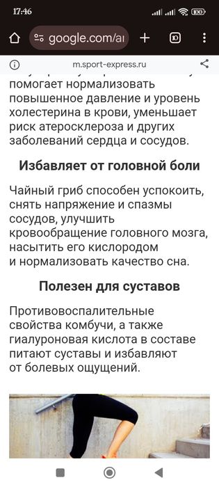 Гриб лечебный чайный