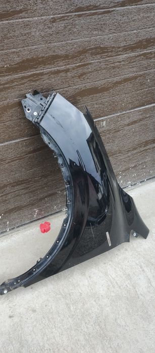 Aripa stângă fata kadjar