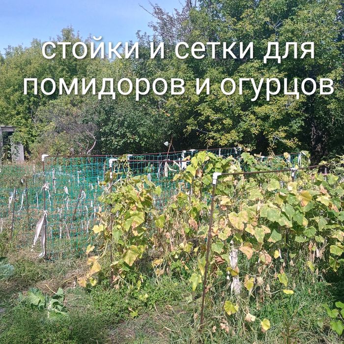 Продам дачу 19 маршрут