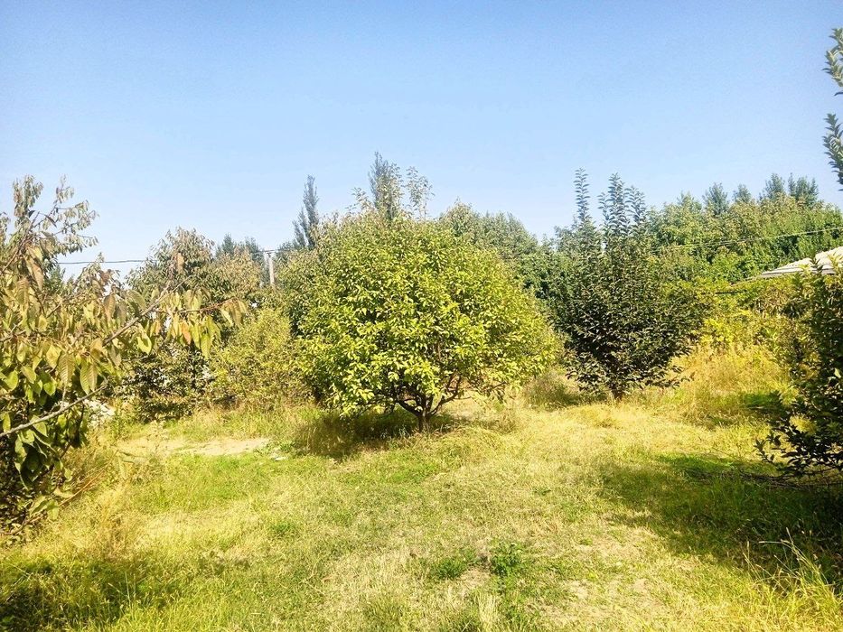 7 sotiq yer sotiladi