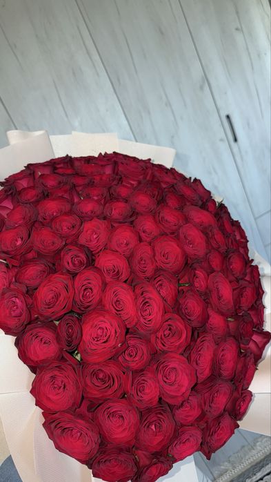 101 красные розы букет