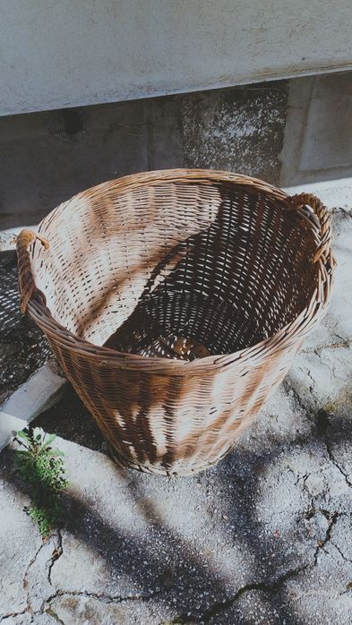 Стари дървено каче и бъчва