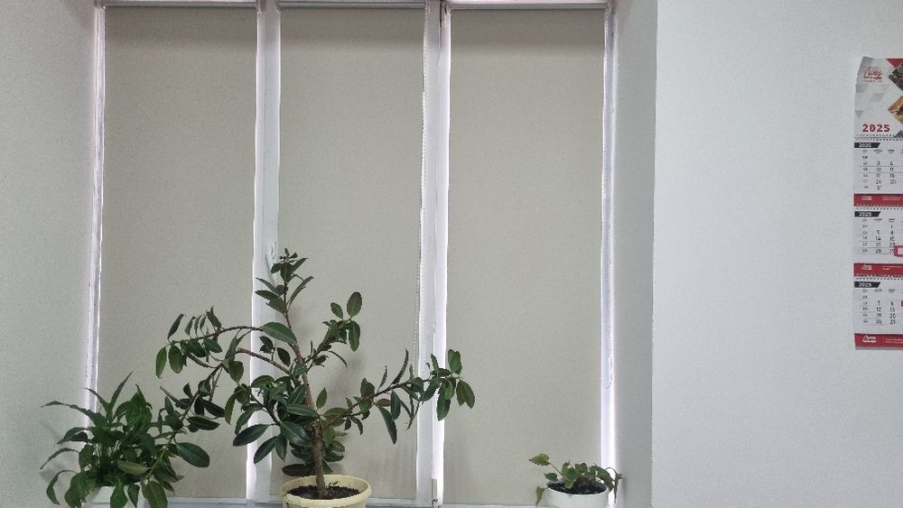 Ролл шторы для окон