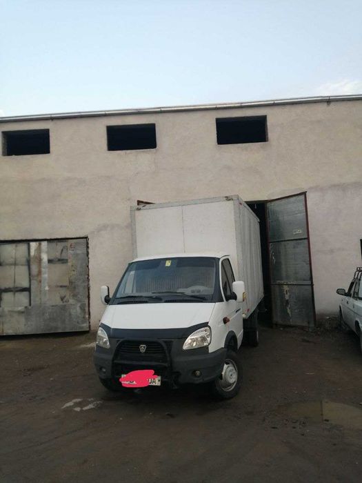 gazel 2008-yil xolati yaxwi