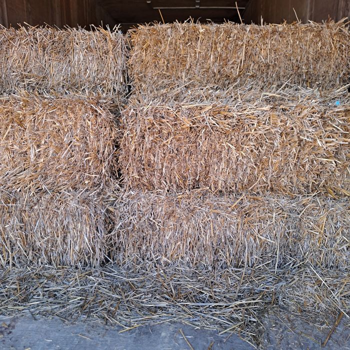 Lucerna si paie de vânzare