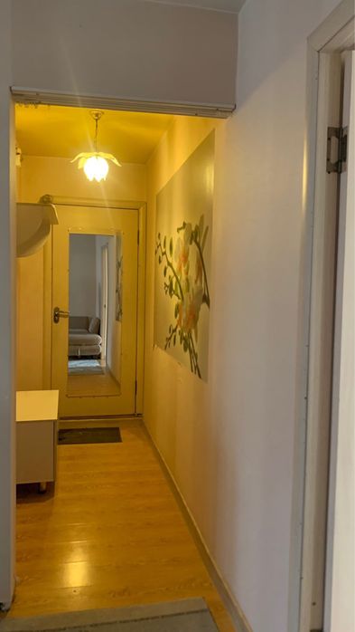 Ищем девушку на подселение