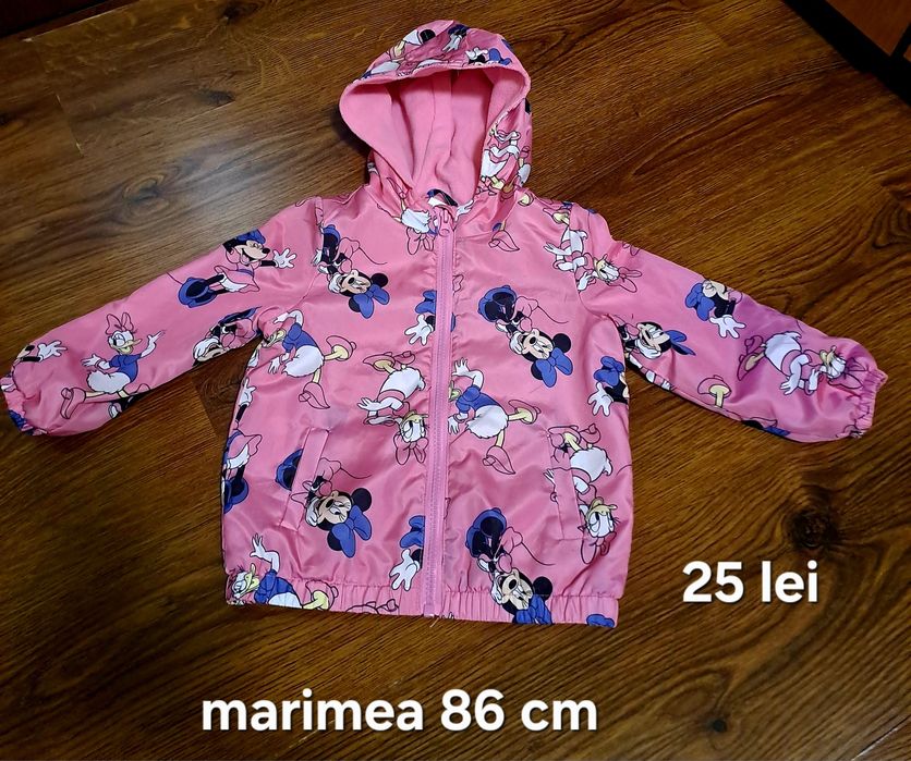 Vand gecuta primavara