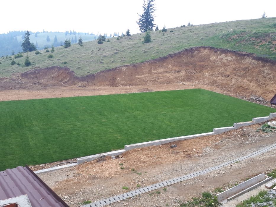 Gazon tip rulou de vanzare