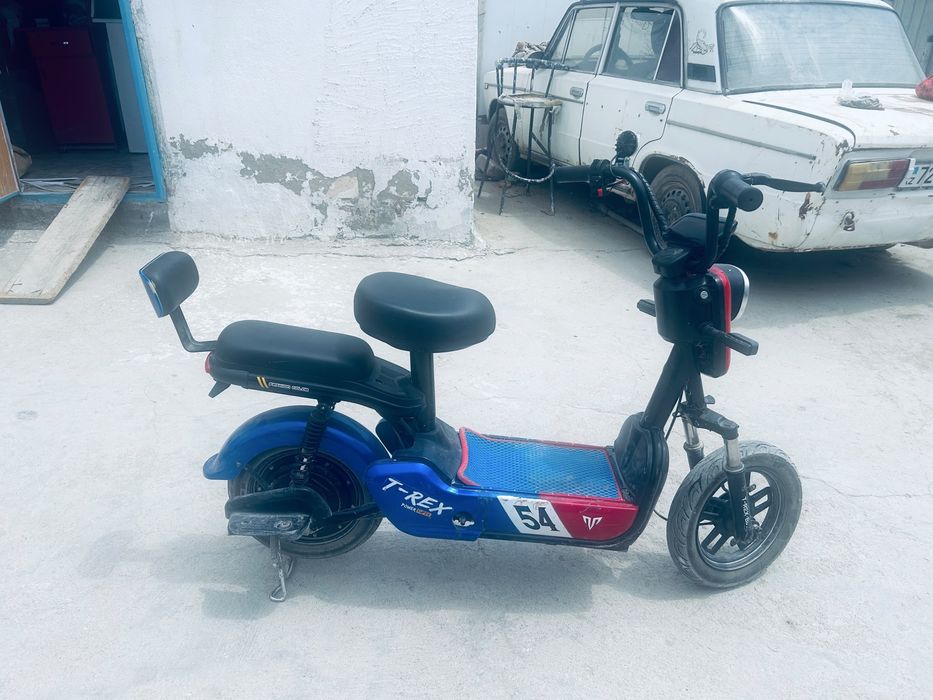 T rex bike