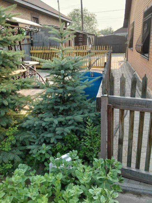 Дом продам или поменяю