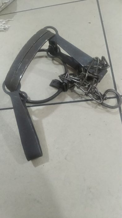 Ловушка для животного