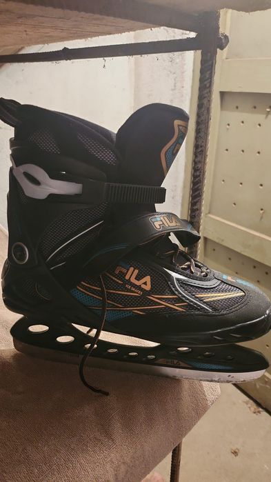 Patine barbati iarna