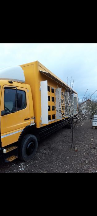 Camion Apicol Mercedes Atego cu albine