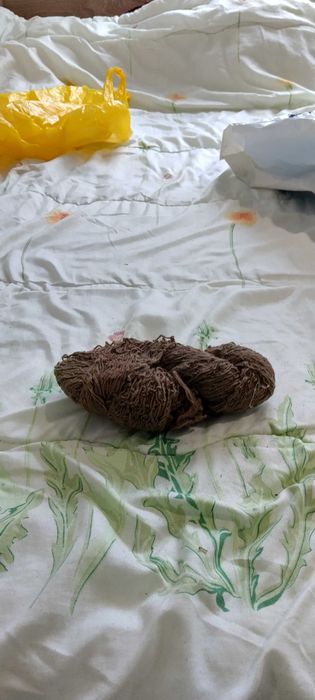 Домашна вълна различни цветове