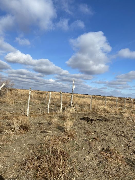 30га кх продаю 17 млн