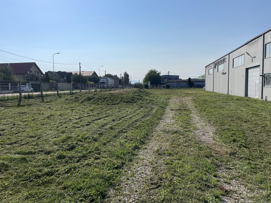 Defrisare vegetatie/iarba terenuri si livezi cu tocator profesional