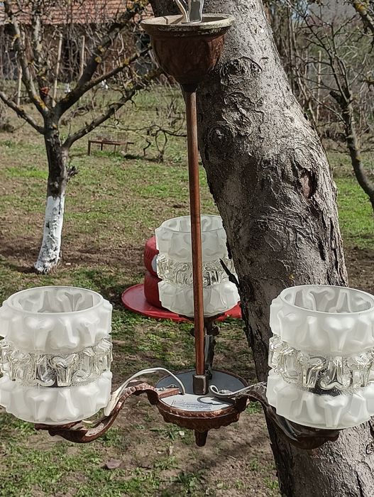 Месинг(меден)полюлей