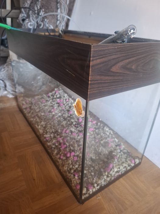 Аквариум срчно продам