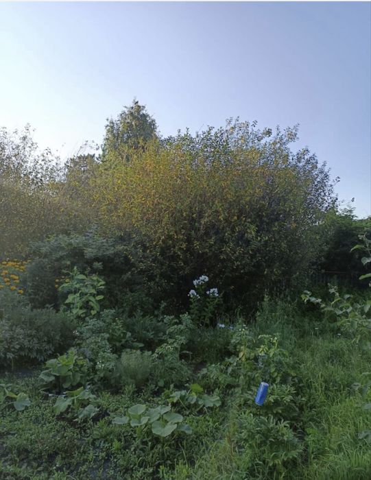 Продам дачу 8соток в дачном обществе горизонт.