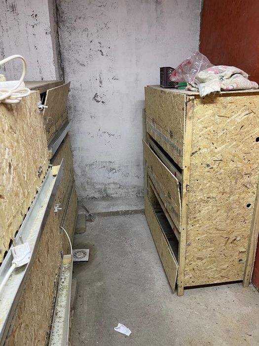 Оборудование для перепелов