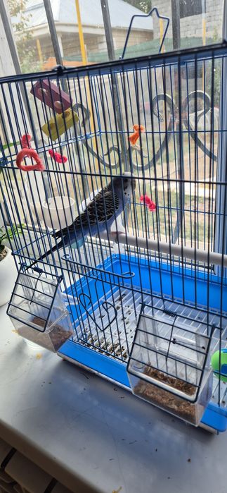 Клетка для Попугая