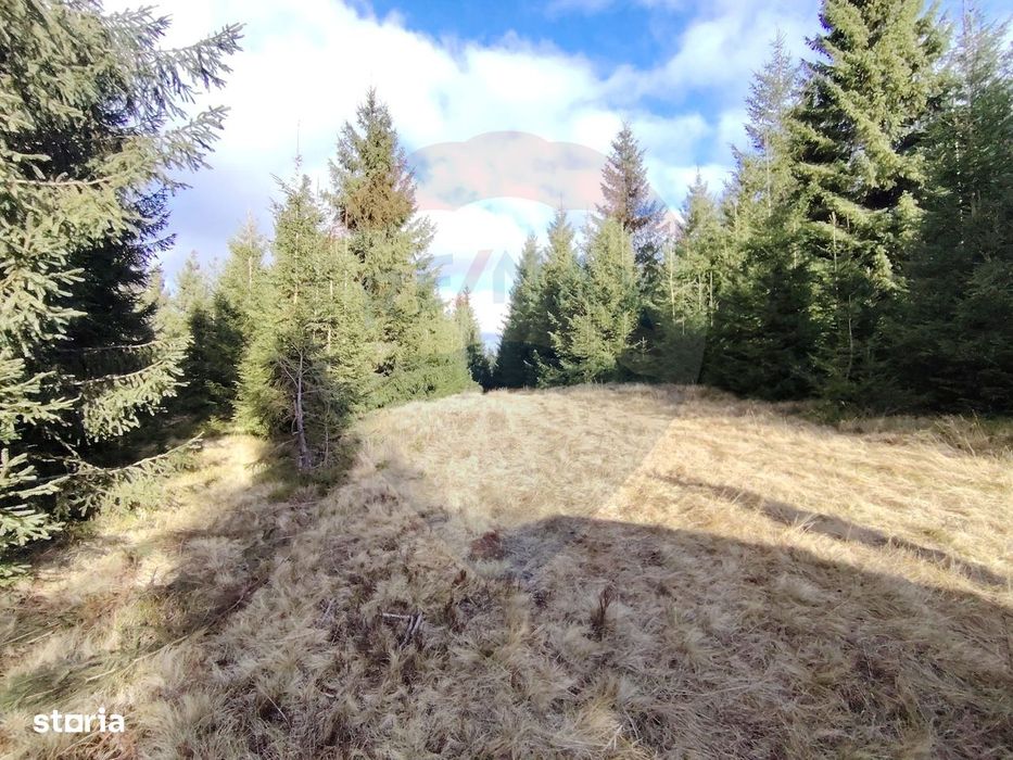 Teren 17,895mp Dorna-Arini / Prelungirea Cozănești