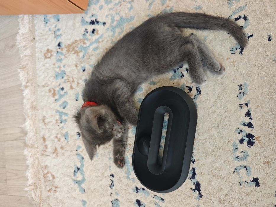 Продам игрушку для кота