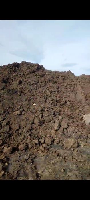 Перегной, Чернозем