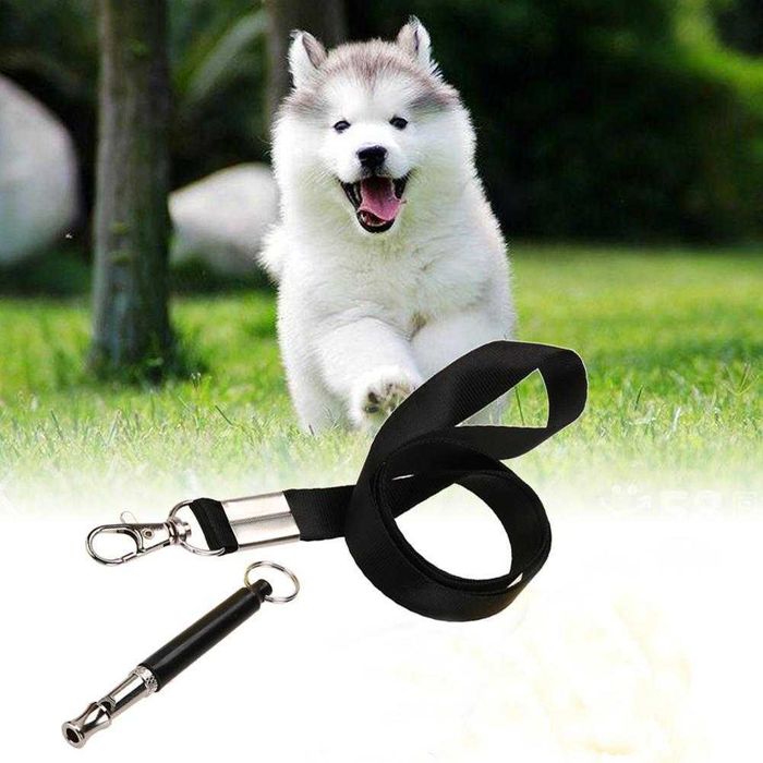 Кучегон ултразвуков + фенер – Прогонва агресивни кучета