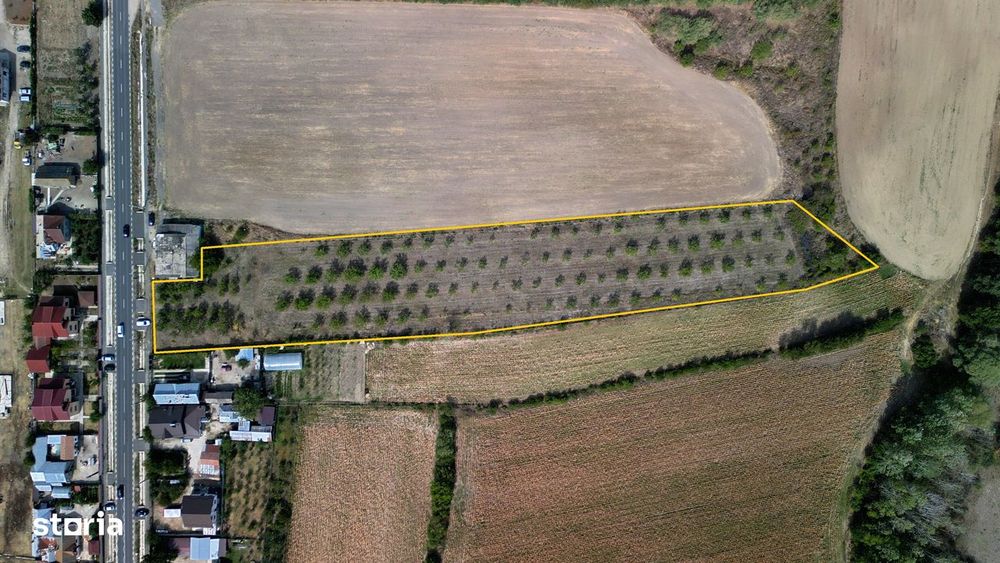 Vanzare teren 9654 mp, deschidere 27m, comuna Dobra, sat Dobra