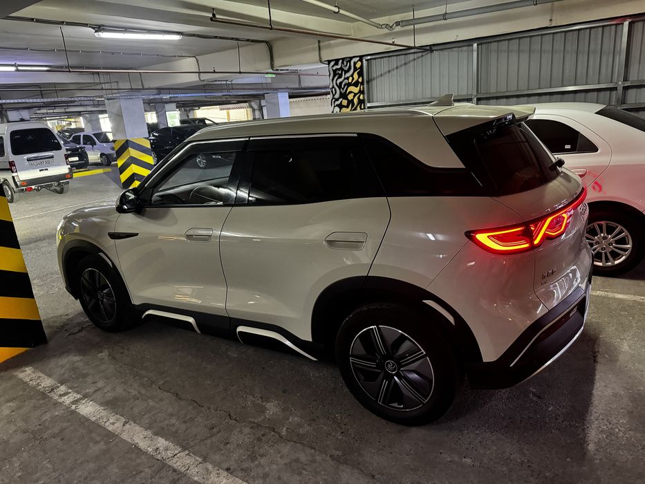 BYD yuan up 2024