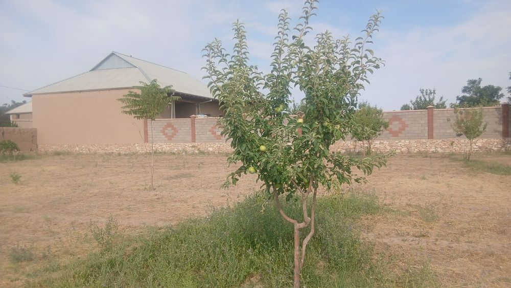 Yer uchastka sotiladi