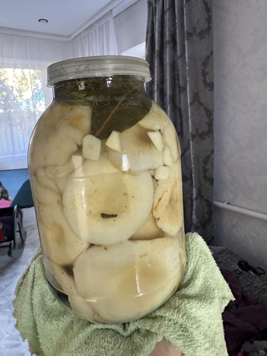 Грузди Каркаралинск