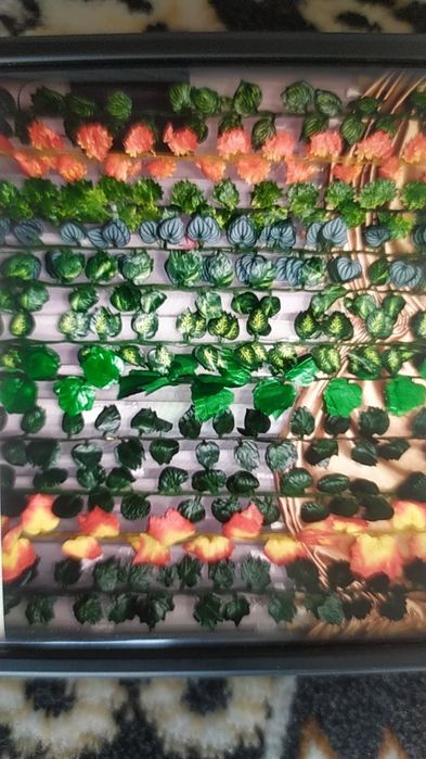 Декоративные листья на окна. Новые есть варианты