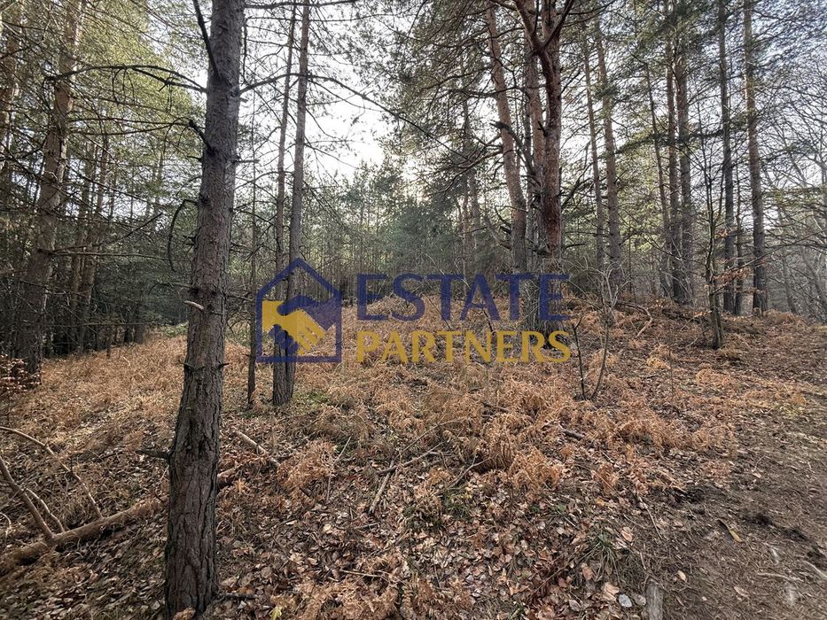 Парцел в Пловдив, област-с.Бойково площ 2018 цена 44396