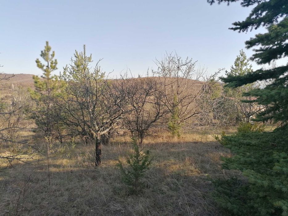 Продава се Парцел в с. Градец, Област София-област - 757 кв.м за 78 €/кв.м - Снимка #13