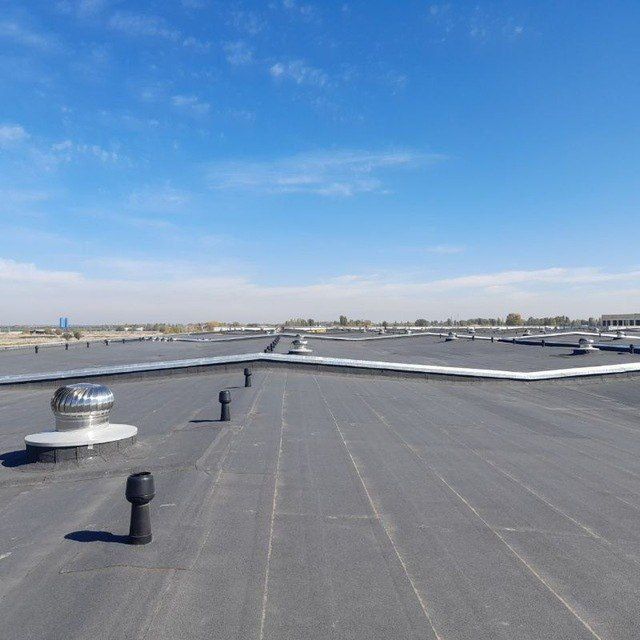 Гидроизаласия фалгаизол