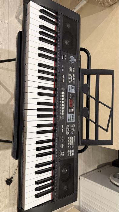 Orga electronica