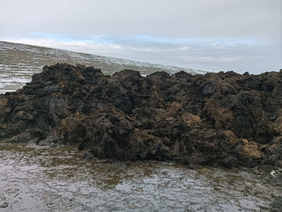 Vând gunoi de grajd