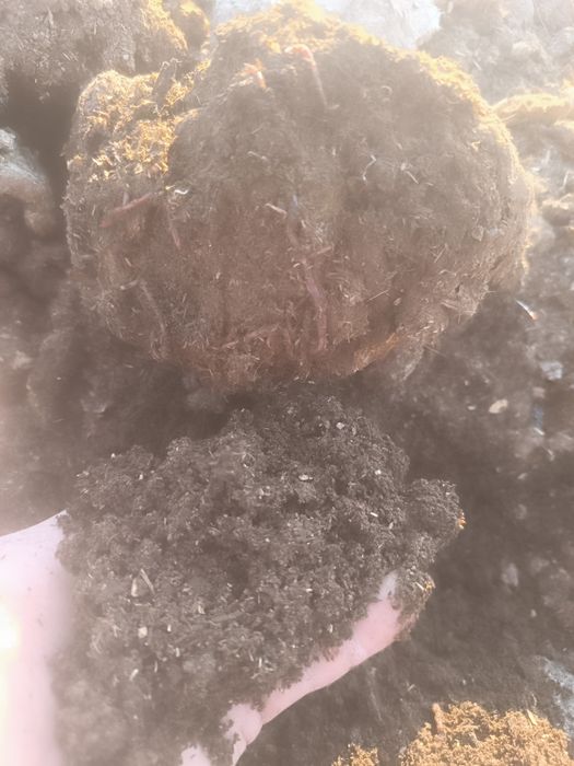 Биогумус,  тыңайтқыш